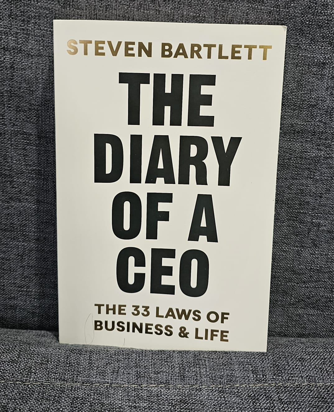 Diary of CEO